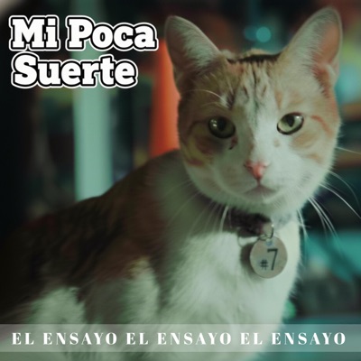 Mi Poca Suerte - ENSAYO #7 (feat. Jared Alv, Levi Johan & El Aguilar) - Single