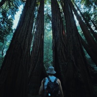 Sinclair - Single - AK Grey