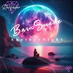 Another Night (feat. BamSuede)