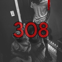 308 - Single - Binary