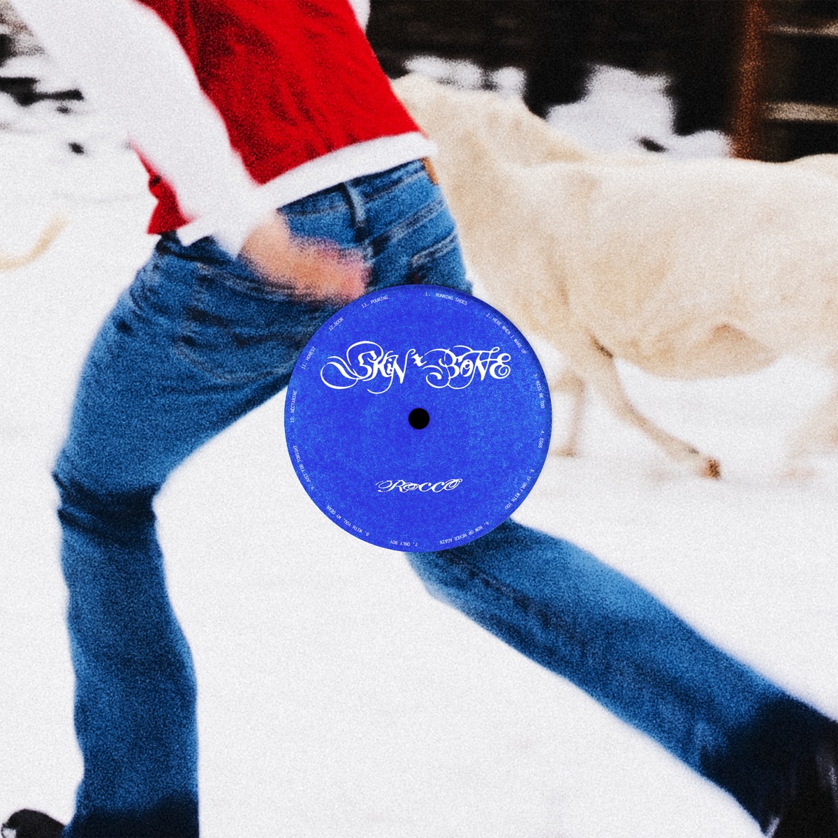 Rocco - Skin & Bone (2025) [iTunes Plus AAC M4A]-新房子