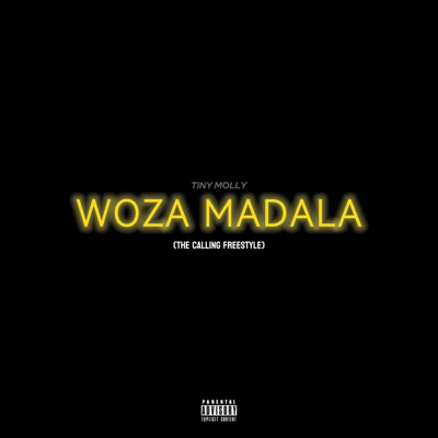 Woza Madala (freestyle) - Single