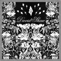 Shaken — David Shaw
