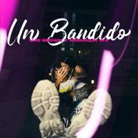 Un Bandido (feat. Rosmailin Wa) - Single - Luis Brown