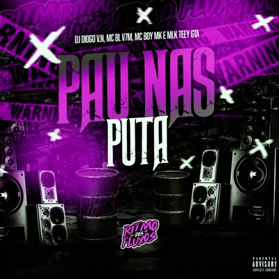 Pau nas Puta (feat. MC BOY MK) - Single