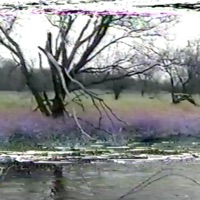 monoChrome - Single - Kid Andre & trees