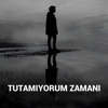 Mehran Khairkhah - Tutamiyorum Zamani