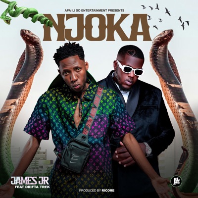 Njoka (feat. Drifta Trek) - Single