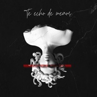 Te echo de menos - Single - M.Ferrero