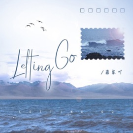 Letting Go (DJ版) 藤柒吖