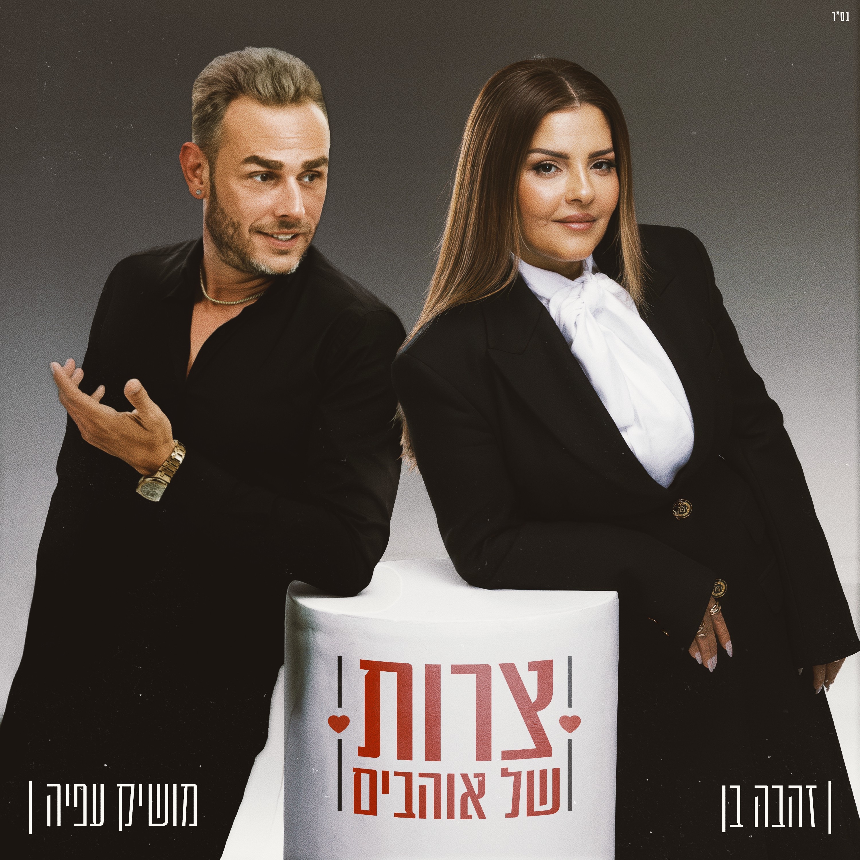 צרות של אוהבים - Single