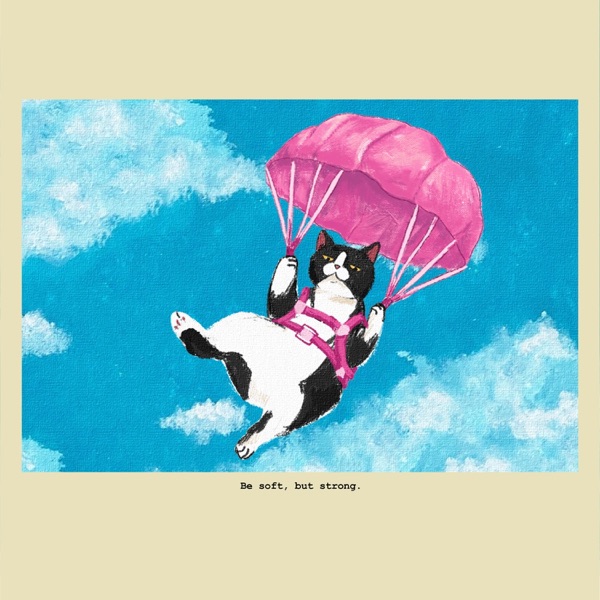 cat in sky.