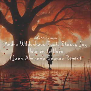 Hold on to Hope (Juan Almiñana Obando Remix) - Single