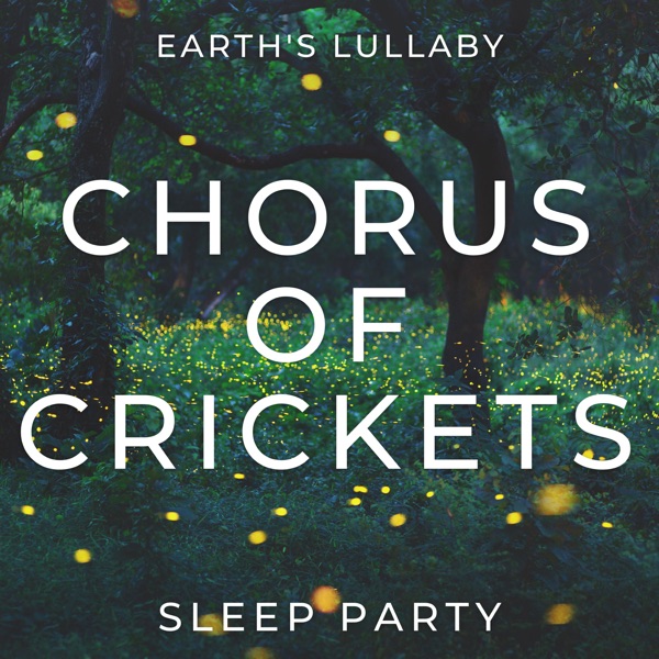 Earth's Lullaby: Chorus of Crickets