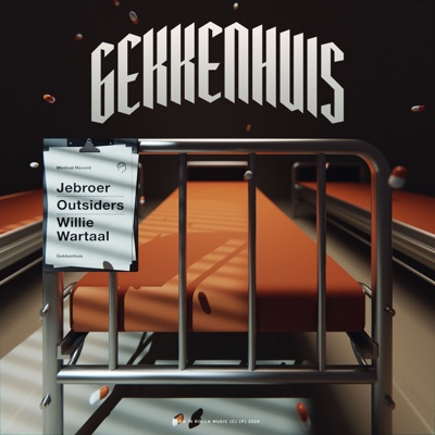 Gekkenhuis (feat. Willie Wartaal) - Single