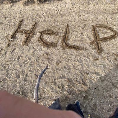 I lowkey hate my life - Single