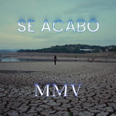 Se Acabó - Single