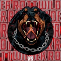 Down For Mer (Rottwilder 2025) - Single - SJAPPA & Jaffamenn