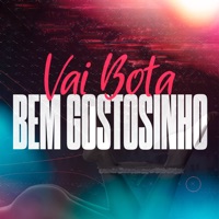 Vai Bota Bem Gostosinho - Single - Dj Tchouzen