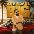 Are basul big
