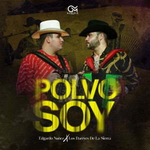 Polvo Soy