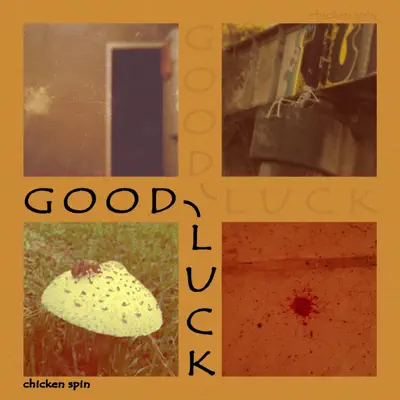 Hör dir „Good Luck“ von Chicken Spin an