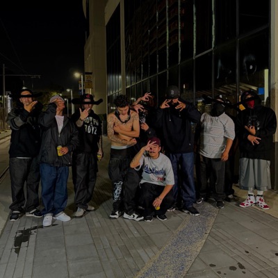 IM BACK-Remix (feat. SaneDaLowk & Rxbery) - Single