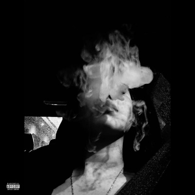 Vidro Fumê - Single