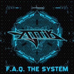 F.A.Q. The System