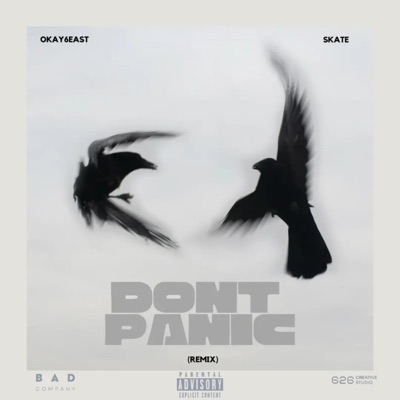 DON'T PANIC (feat. Okay6east & SKATE) [REMIX] - Single