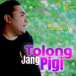 Tolong Jang Pigi - Single