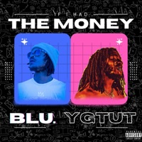IF I HAD the MONEY (feat. YGTUT) - Single - Blu.