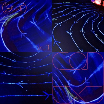 (SELF) Vol. I
