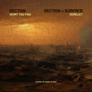 What You Find / Derelict - Single