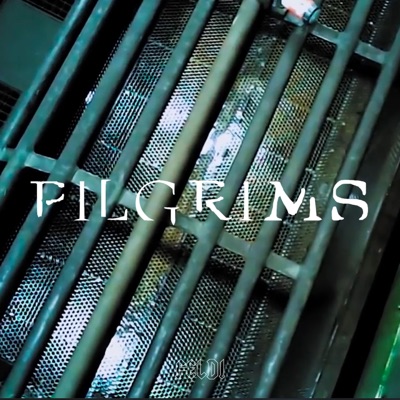 Pilgrims - Single