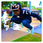 Fly - Single