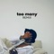 Too Many (Denz The Human Remix) - Mx Blouse & Denz The Human lyrics