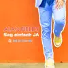 Alan Fields - Sag einfach ja (DJ Club Mix)