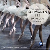 Swan Lake - Ballet in four acts Op. 20, ACT 2: No. 10 - Scène (Moderato) artwork