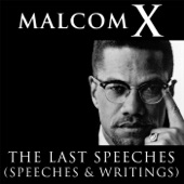 Malcolm X - You Can't Hate the Roots of a Tree and Not Hate That Tree