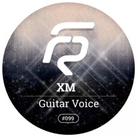 Guitar Voice - Single - XM