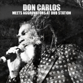 Don Carlos Meets Aggrovators at Dub Station - don carlos