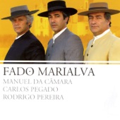 Fado Marialva artwork