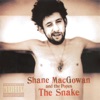 Shane MacGowan & The Popes - Roddy McCorley