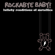 Nothing Else Matters - Rockabye Baby!
