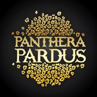 Panthera Pardus 2015 - Single - Celerity