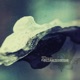Everything to Everyone Remixes with Amber Long Single