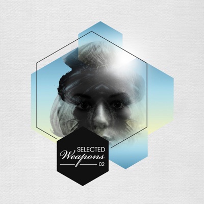 Selected Weapons 002