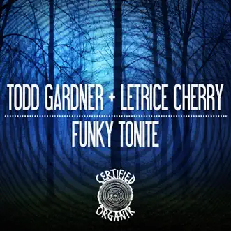 Funky Tonite (Funky Tonite Dub) by Todd Gardner & Letrice Cherry song reviws