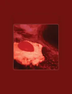 Ouça La Pequeña Muerte, assista a videoclipes, leia a biografia, veja as datas das turnês e mais!